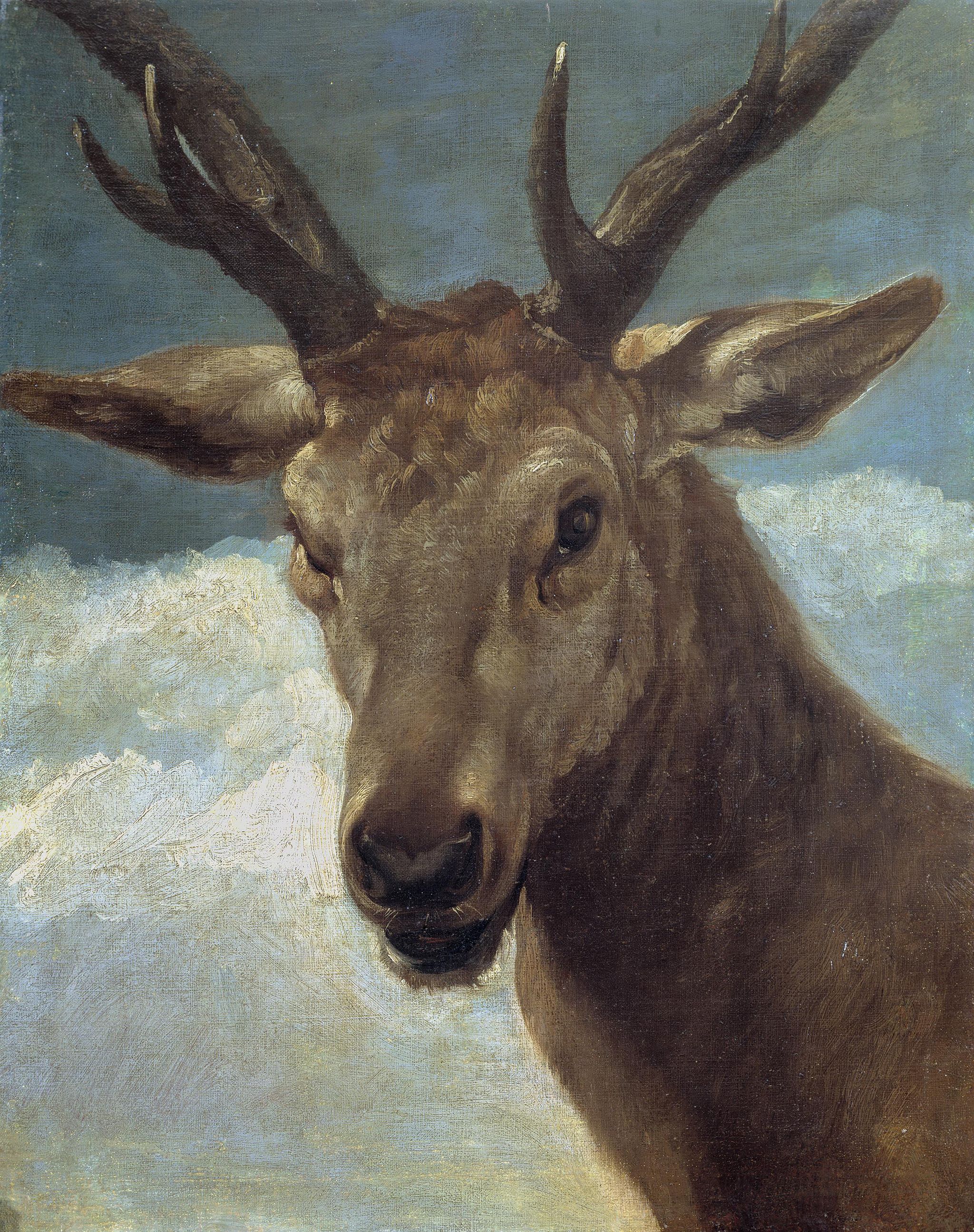 Head of a Stag